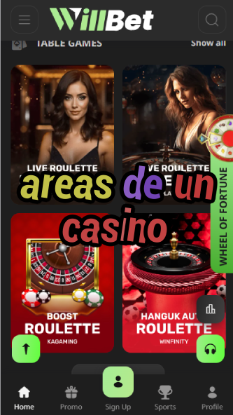 Areas de un Casino - Spanish Casino Layout-casinoorder.vip